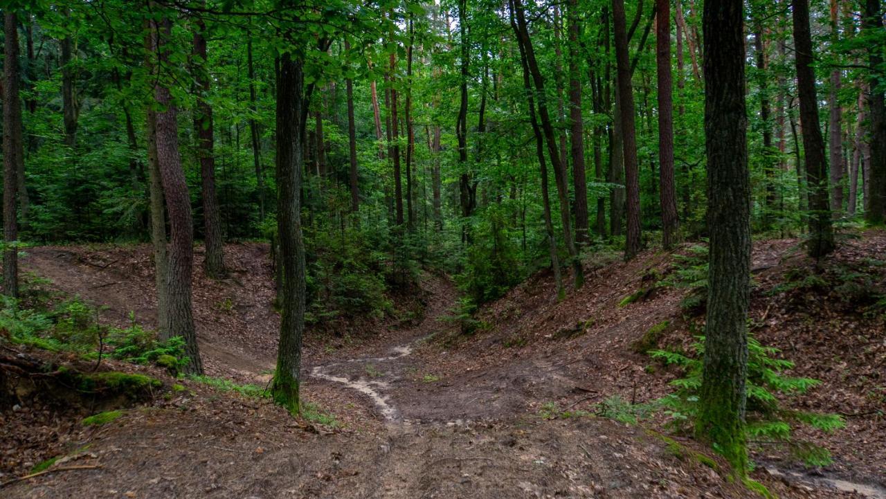 Siedlisko Pod Lasem Zwierzyniec Esterno foto